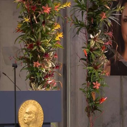 Ana Machado leva legado familiar ao palco norueguês