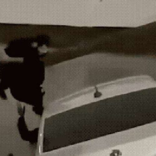 Populares salvam criança de táxi que despencou em correnteza e afundou no canal (Veja o vídeo)