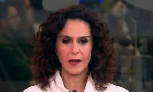 Malu Gaspar perde a paciência e faz seu mais veemente ataque a Moraes: ‘Ninguém diz qual é o vazamento’ — Veja o vídeo!