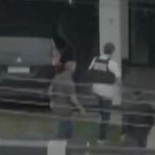 Policial é atacado por cães dentro da residência de Bolsonaro durante prisão domiciliar