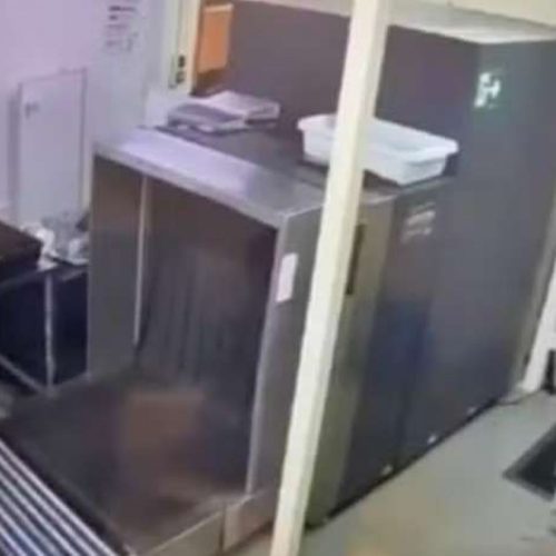 AO VIVO: Operação Banco Master causa pânico em Brasília (veja o vídeo)