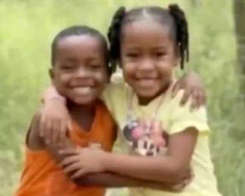 Mais de 500 voluntários e agentes buscam irmãos de 4 e 6 anos desaparecidos