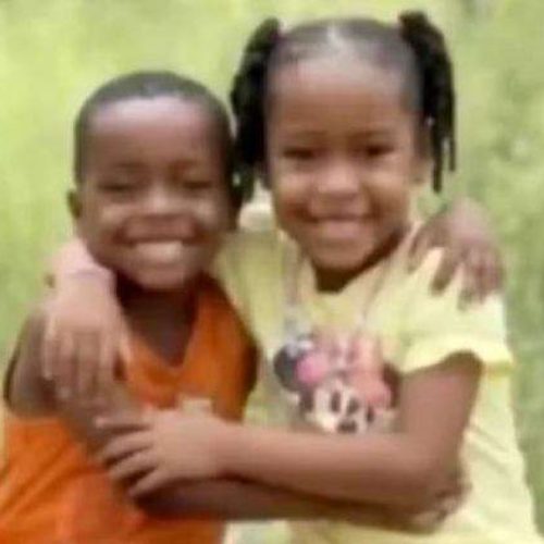 Mais de 500 voluntários e agentes buscam irmãos de 4 e 6 anos desaparecidos