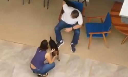 Nikolas Ferreira detona Globo por invasão de privacidade contra Bolsonaro: “Sem nenhum escrúpulo”