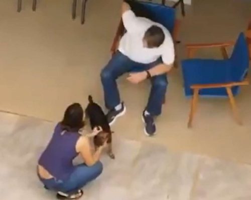 Nikolas Ferreira detona Globo por invasão de privacidade contra Bolsonaro: “Sem nenhum escrúpulo”