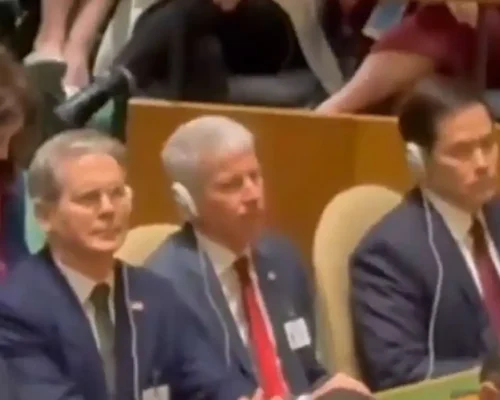 Em Meio à Perseguição a Bolsonaro, Loja Desafia ‘Sistema’ com Obras sobre Censura e STF