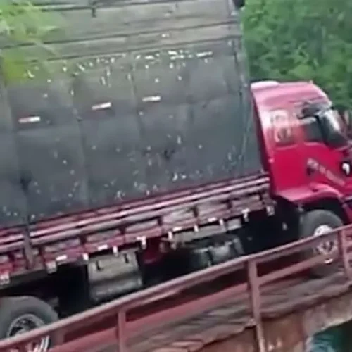Maranhão: Ponte Vital Desaba sob Caminhão em MA-272 após Meses de Desgaste