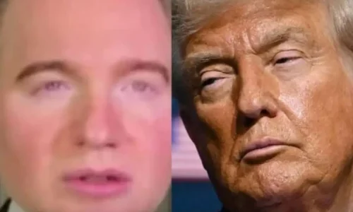 Advogado de Trump Ataca: STF e TSE Alinhados ao Crime Organizado no Brasil?