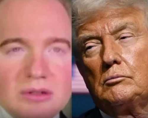 Advogado de Trump Ataca: STF e TSE Alinhados ao Crime Organizado no Brasil?