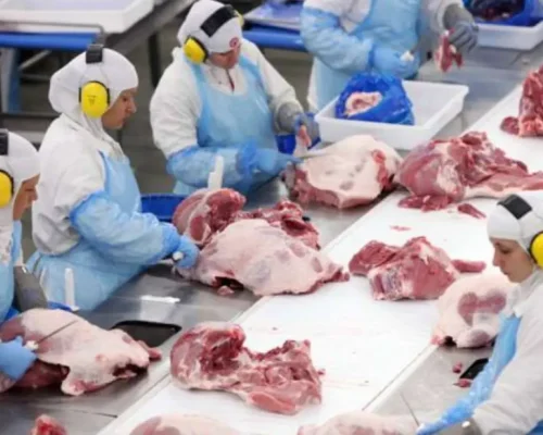 Corte de Mil Vagas: MBRF Reestrutura Operações no Brasil Após Fusão Marfrig e BRF