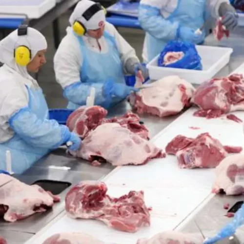 Corte de Mil Vagas: MBRF Reestrutura Operações no Brasil Após Fusão Marfrig e BRF