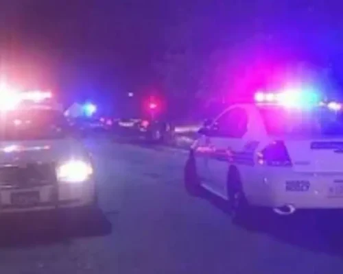 Tumulto na Zâmbia: Presidente Hakainde Hichilema Atacado com Pedras em Comício