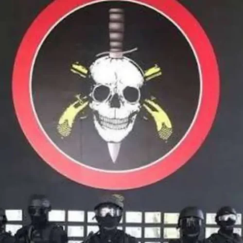 Bope Reage a Acusação de Decapitação de Jovem em Megaoperação no Complexo do Alemão